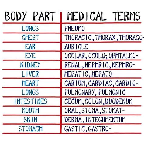 Free printable download ems tools – Artofit