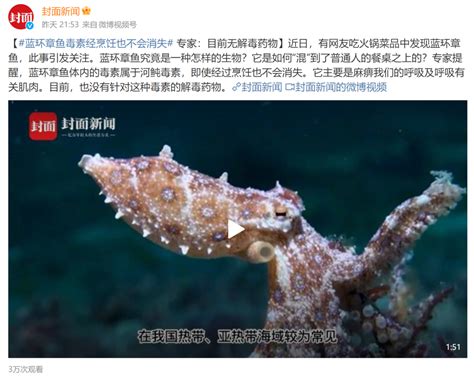 网购3袋八爪鱼发现2条有剧毒的蓝环章鱼，当事人：幸好认识，已送到公安局_凤凰网视频_凤凰网