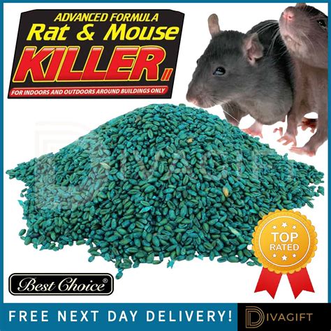 RAT MOUSE POISON BAIT MAX STRENGTH RODENT KILLER GRAINS KILLS IN A ...