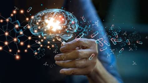How does the brain forget unwanted memories? This study might have ...