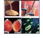 Health Food Supplements,Pharmaceuticals & API Manufacturers