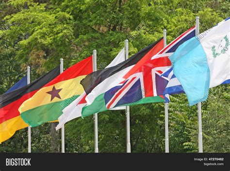 Coloured Flags 的图像结果