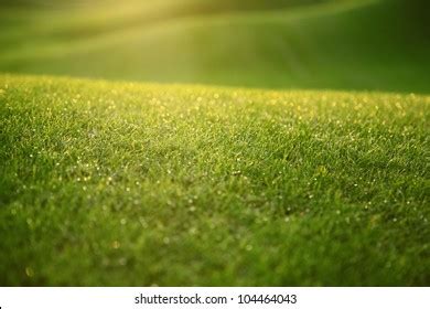 Image result for Damp Course Problems