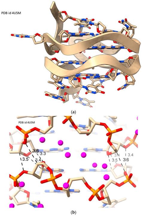 On Water Arrangements in Right- and Left-Handed DNA Structures