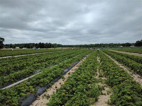 Waldorf Tourism (2024): All You Need to Know Before You Go