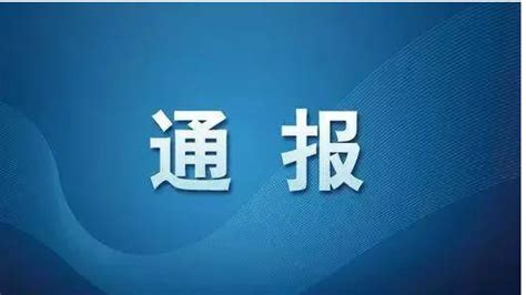 南航集团原副总工程师袁锡藩涉嫌严重违纪违法，接受审查调查