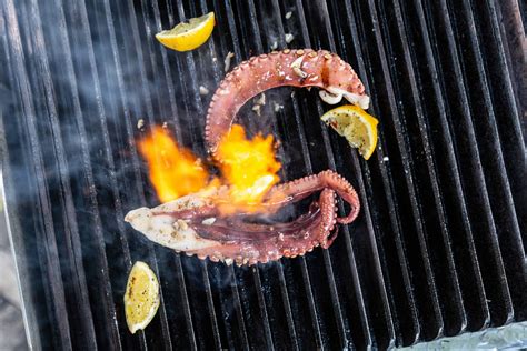 Why Octopus Is A Key Ally In Managing Menopause
