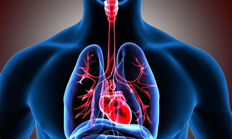CHEST releases clinical practice guideline on respiratory management of ...