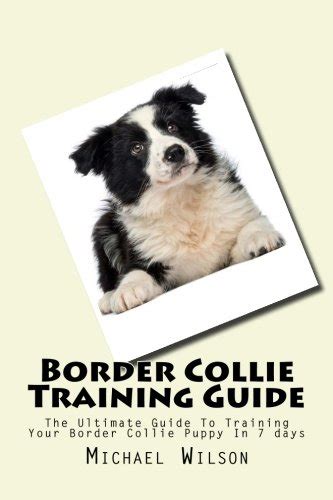 Buy Border Collie Training Guide: The Ultimate Guide To Training Your ...