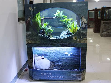 打氧机鱼缸的使用方法 鱼缸氧泵使用方法视频_宠物百科 - 养宠客