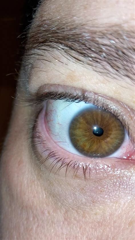 How To Hazel Eyes Change Color at Jessie Simmon blog