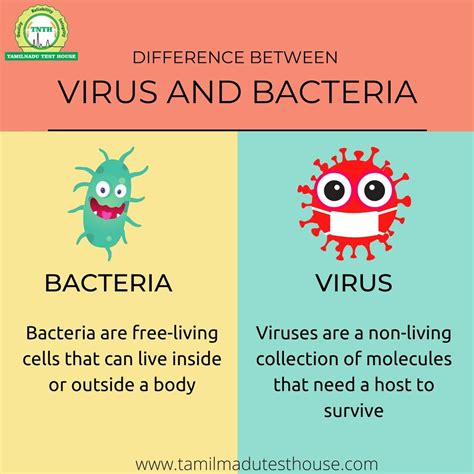 Difference Between Virus And Bacteria | Viruses and bacteria… | Flickr