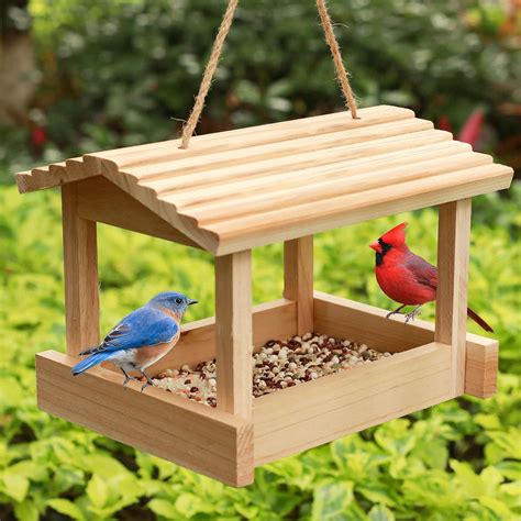 Amazon.com : STARSWR Bird Feeders for Outside Hanging, Wild Bird Feeder ...