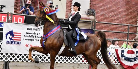 Iowa American Saddlebred Association