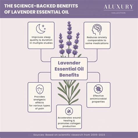 Lavender Essential Oil Benefits: With Evidence-Based Insights – Aluxury ...