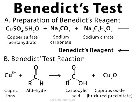 Image result for Benedict Test