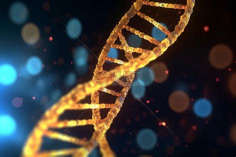 基因图片 的图像结果