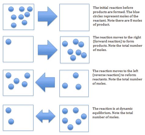 Image result for Dynamic Equilibrium Model Kit