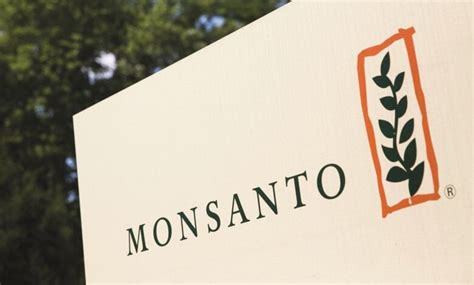 Logo Lessons 的图像结果