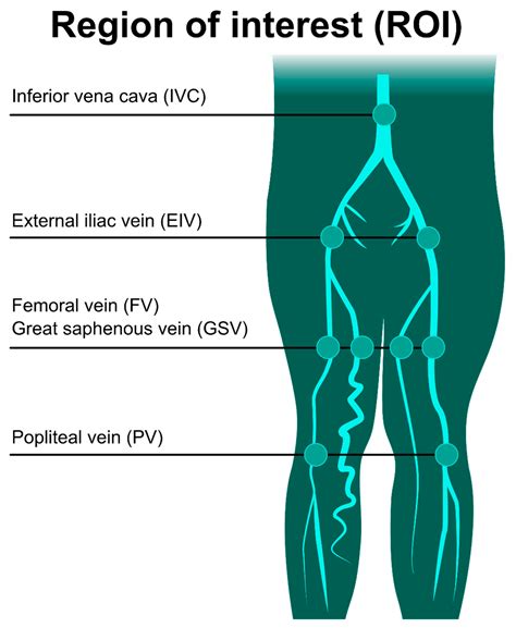 A Novel Tool for a Challenging Disease: Stasis Leg Ulcers Assessed ...