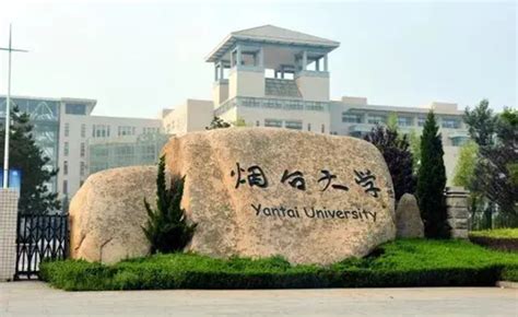 2023年中国中外合作办学的最好大学排名