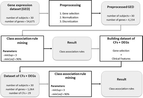 Genetic Engineering Process 的图像结果