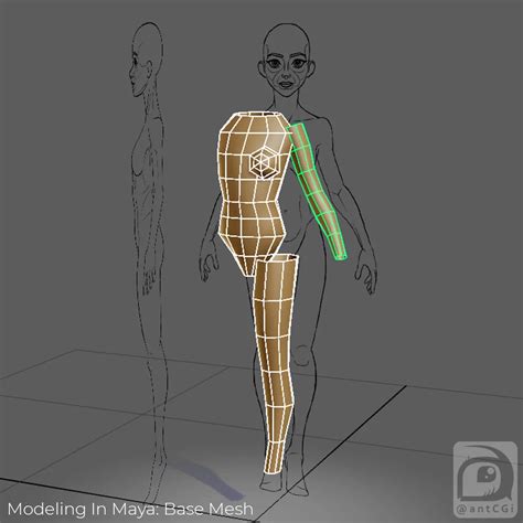 Image result for Build a Mesh by Picture Maya Tutorial