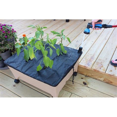 EMSCO GROUP 3-cu ft 24-in W x 20-in L x 11-in H Sandstone Resin Raised ...