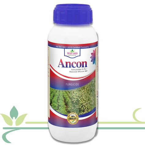 Ancon - Bringing Growth Together