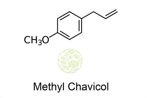 Methyl Chavicol | Methyl eugenol