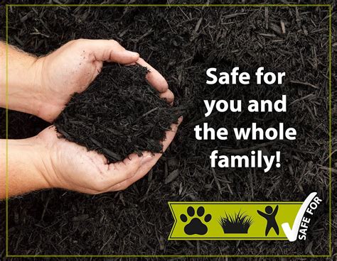 MulchWorx Black Mulch Color Concentrate- Quart - India | Ubuy