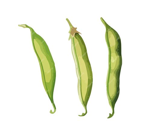 Free Green Bean Clipart, Download Free Green Bean Clipart png images ...