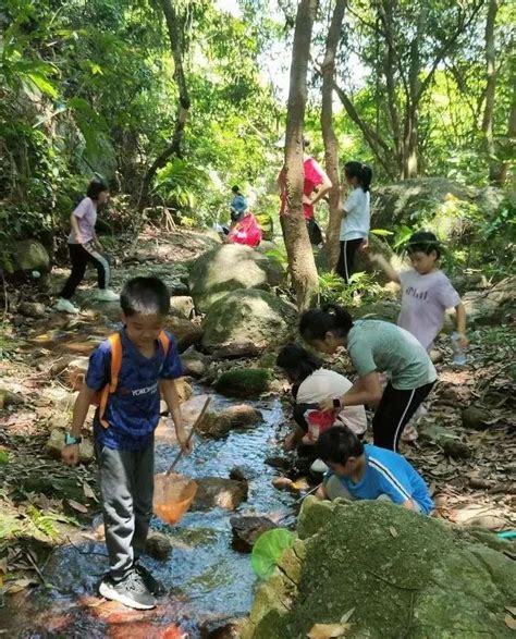 峡谷溯溪 溯溪玩水 溯溪装备 溯溪穿越