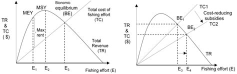 Understanding Global Supply Chains and Seafood Markets for the ...