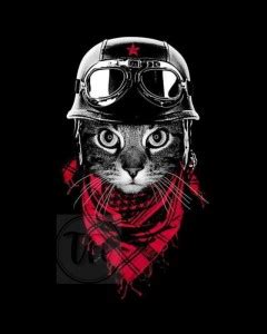 Cats Posters | Unframed | HD High Resolution Print | Size - 12 X 18 ...