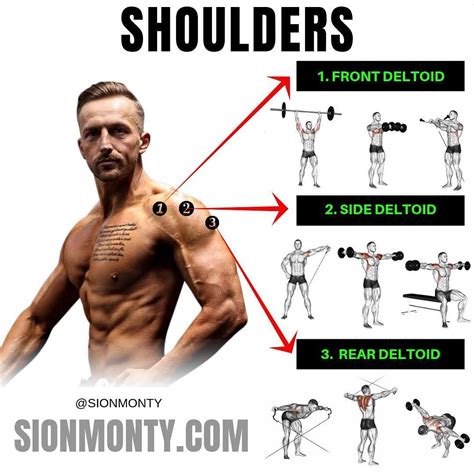 Want Full 3D Shoulders? Now that you’ve got an idea of the best ...