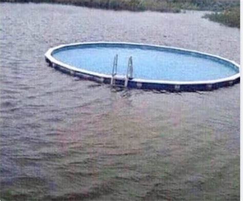 Image result for Random Pool Hook Up