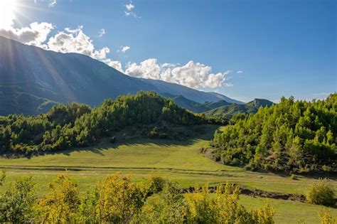 Quiet 的图像结果