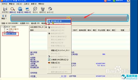 diskgenius专业版修改下载-diskgenius简体中文版-绿色资源网