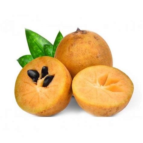 Chickoo Manufacturer Exporter Supplier from Mumbai India