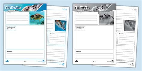 Sea Turtles Non-Chronological Report Template