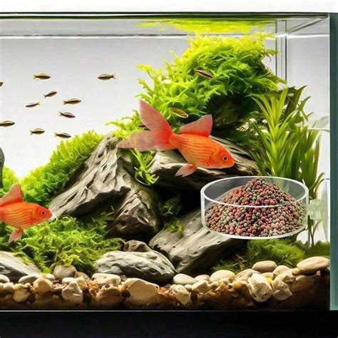 60mm Aquarium Glass Feeding Dish, Shrimp Food Tray, Round Transparent ...