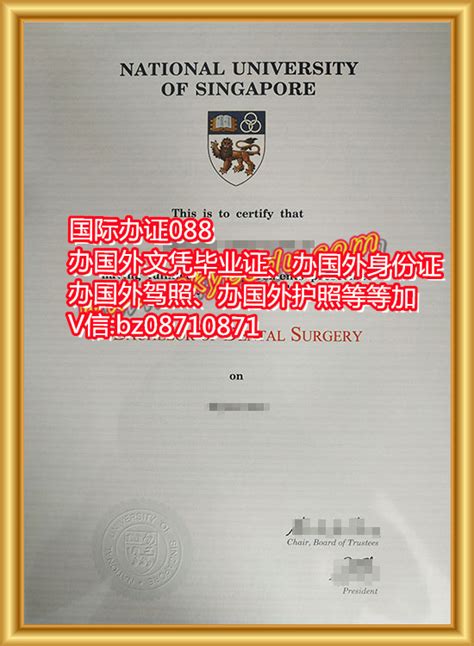 新加坡国立大学毕业证National-University-of-Singapore-degreeN
