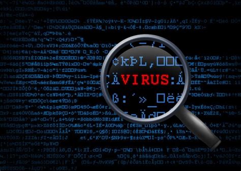 Computer Viruses 的图像结果