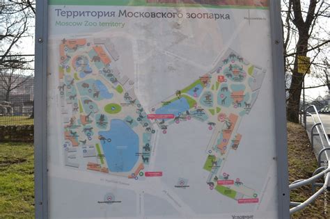 Московский зоопарк в марте » ИнфоГлаз