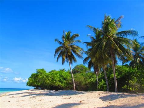 Sandakan Tourism (2024): All You Need to Know Before You Go