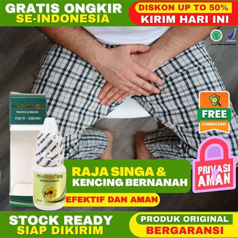 Medicine for Lion King and Gonorrhea HERBAL PROPOLIS SM ORIGINAL HERBAL ...