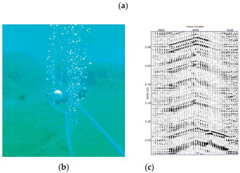 Marine Fiber-Optic Distributed Acoustic Sensing (DAS) for Monitoring ...