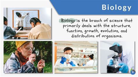 Biology - Definition & Meaning, Examples, Branches and Principles