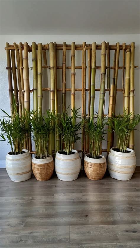 How to Create a Bamboo Oasis: 21 Ideas for Your Garden